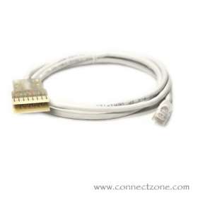 1 foot White Cat5e patch cord RJ45 plug - 110 connector

